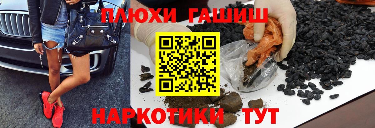 ГАШИШ Premium Сосновый Бор