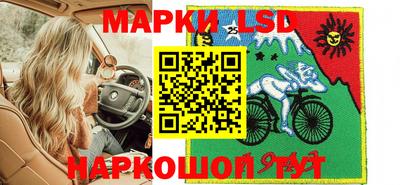трава Гатчина