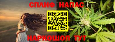 трава Гатчина