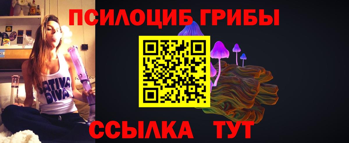 Галлюциногенные грибы мицелий Сосновый Бор