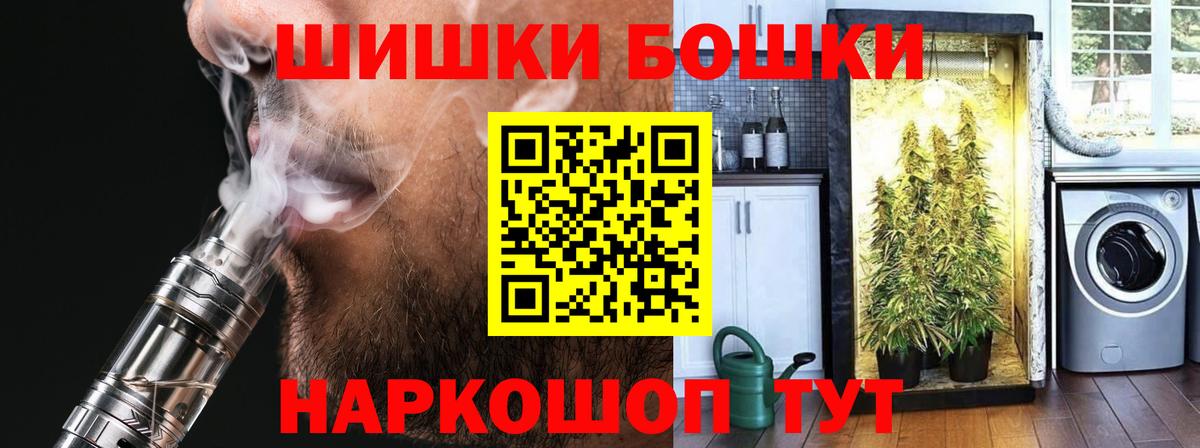 Бошки марихуана гибрид Сосновый Бор